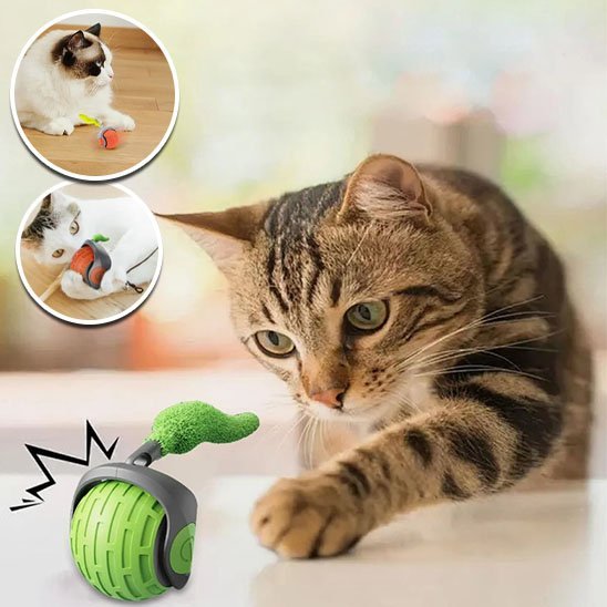 Jouet Chat Interactif | ChasseFéline