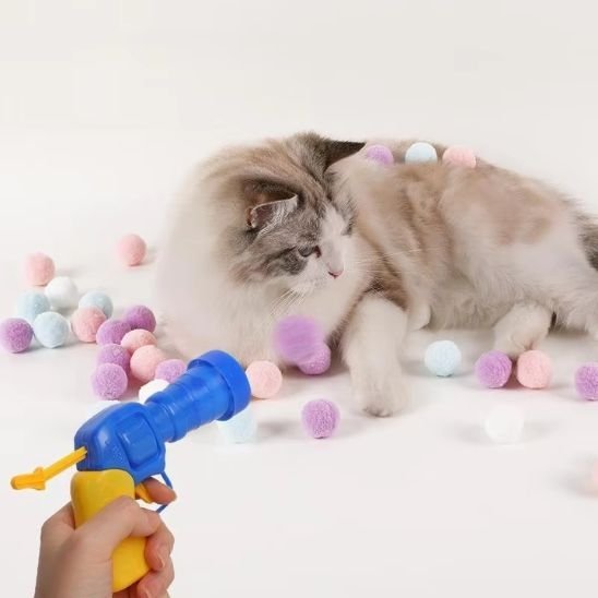 Jouet pour chat | Interactif