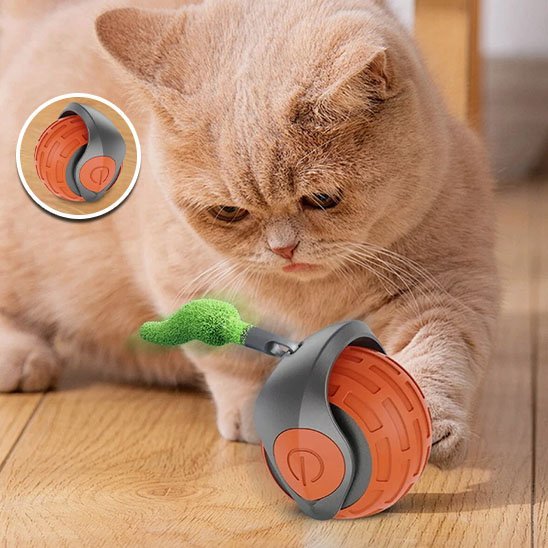 Jouet Chat Interactif | ChasseFéline