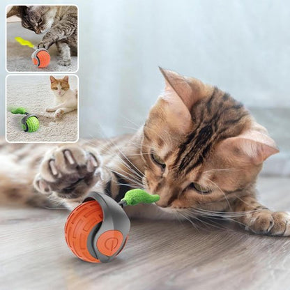 Jouet Chat Interactif | ChasseFéline